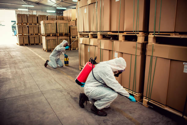 Best Insect Control  in North Barrington, IL