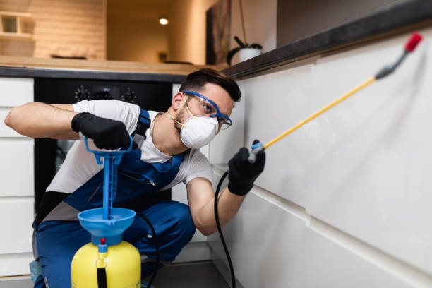 Best Rat Extermination Near Me  in North Barrington, IL