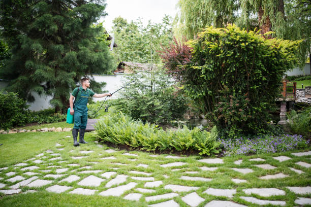 Best Pest Removal Services  in North Barrington, IL