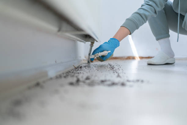 Best Best Pest Control Companies  in North Barrington, IL
